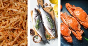 Fish Mart – English