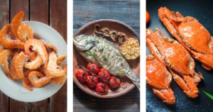 Live Fish Shop – English